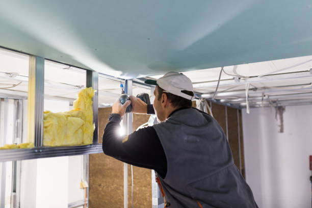 Best Cellulose Insulation  in Myerstown, PA