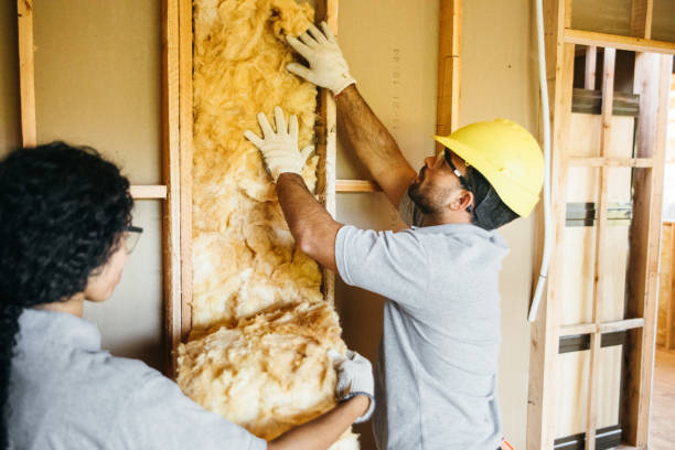 Best Insulation Removal Services  in Myerstown, PA